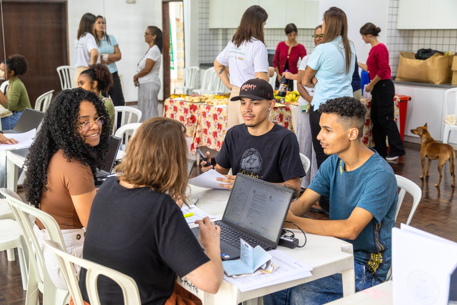 Plantando oportunidades - boletim #2