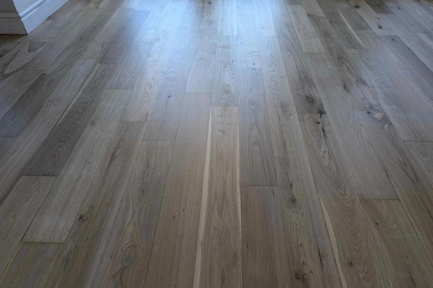 Finished engineered wood floor sanding and restoration in natural matt.