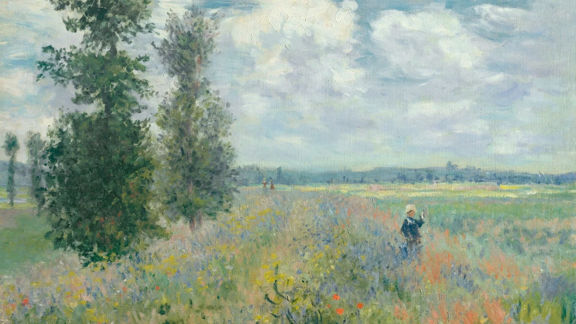 Poppy Fields Frame TV art
