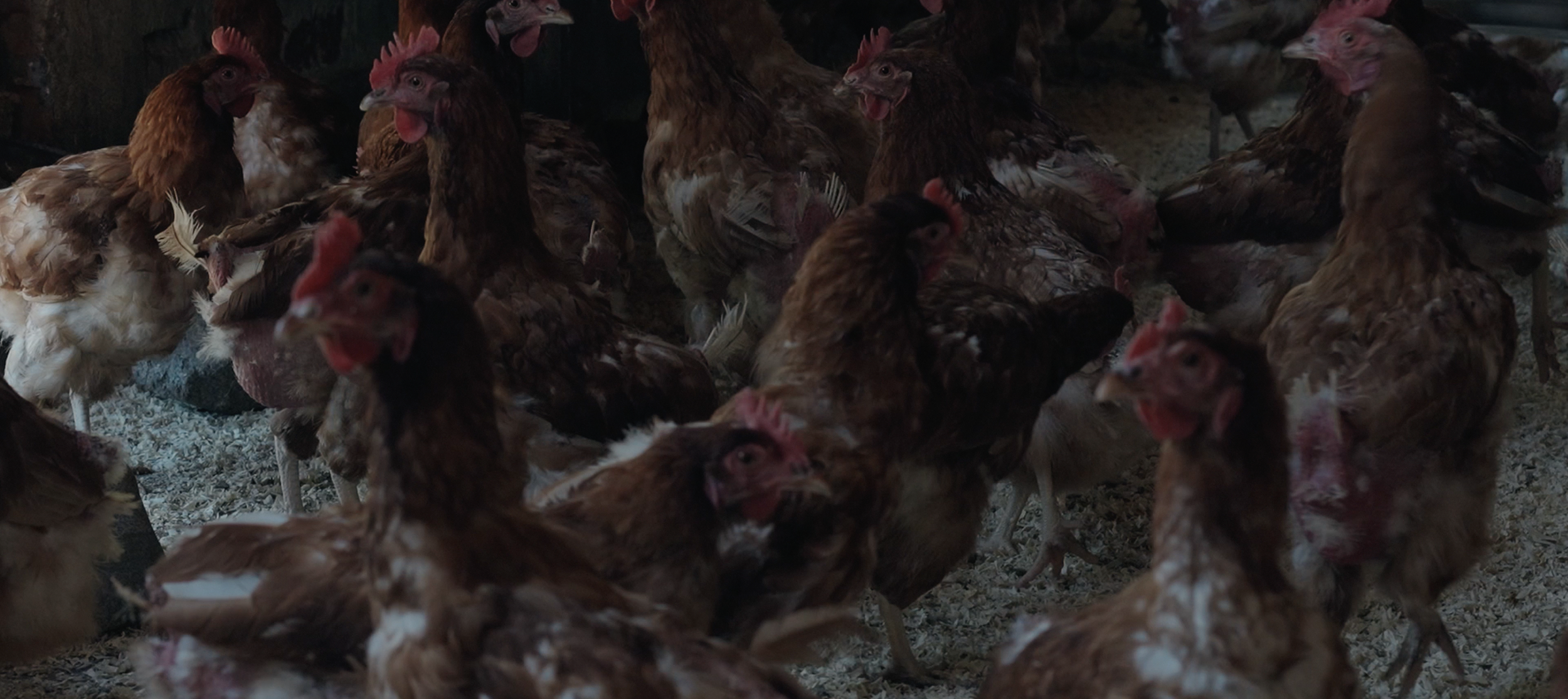 Scherm­afbeelding 2026-02-10 om 13.33.12.png