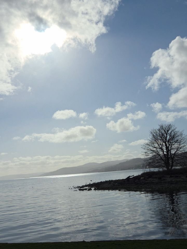 The world has become awfully heckin racist and we're no having any of that nonsense.

Not in the same life that also has:

Early morning walks frosty sunrise walks

Folk who treat you with their homebaking

Pups with grey eyebrows who are still just 