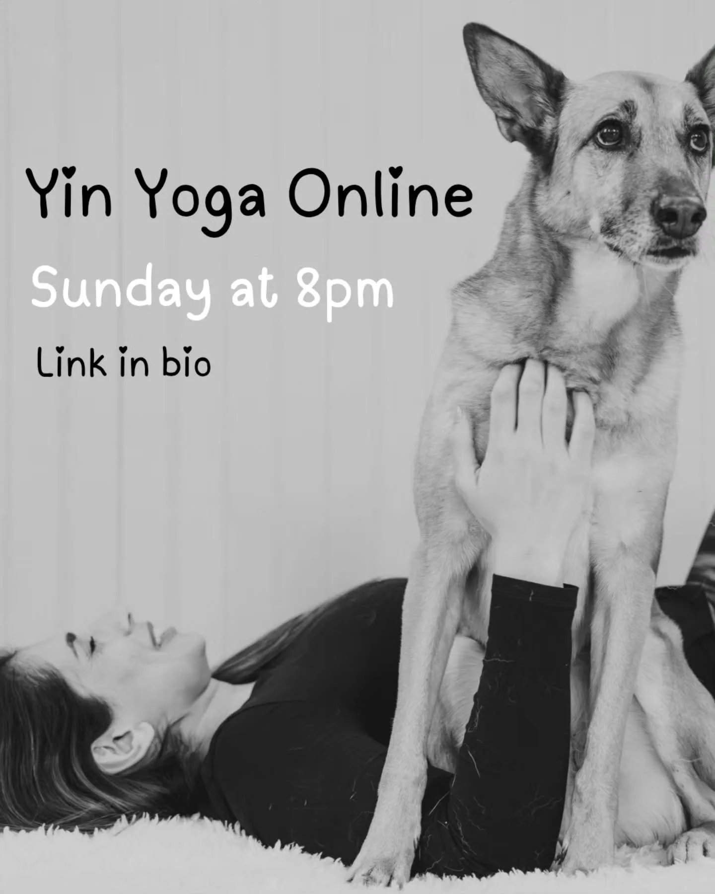 🖤 YIN YOGA FUNDRAISER 🖤

This Sunday, and the first Sunday of every month, until Palestine is free &amp; our friends can return to their homes.

Register at the link in my bio
Make a donation (any)
Log on just before 8pm on Sunday
Come back to your