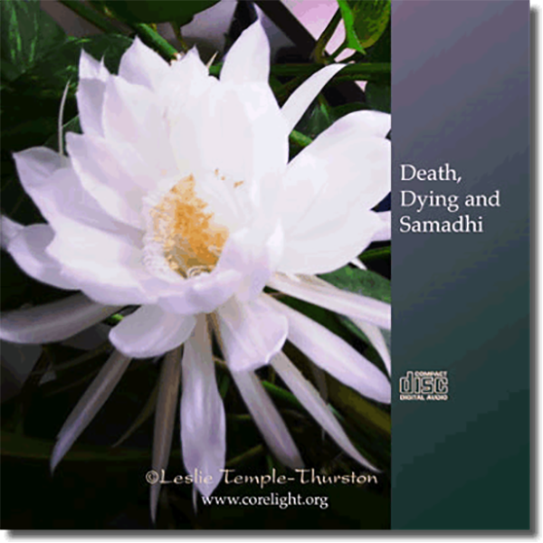 Death, Dying and Samadhi (set)