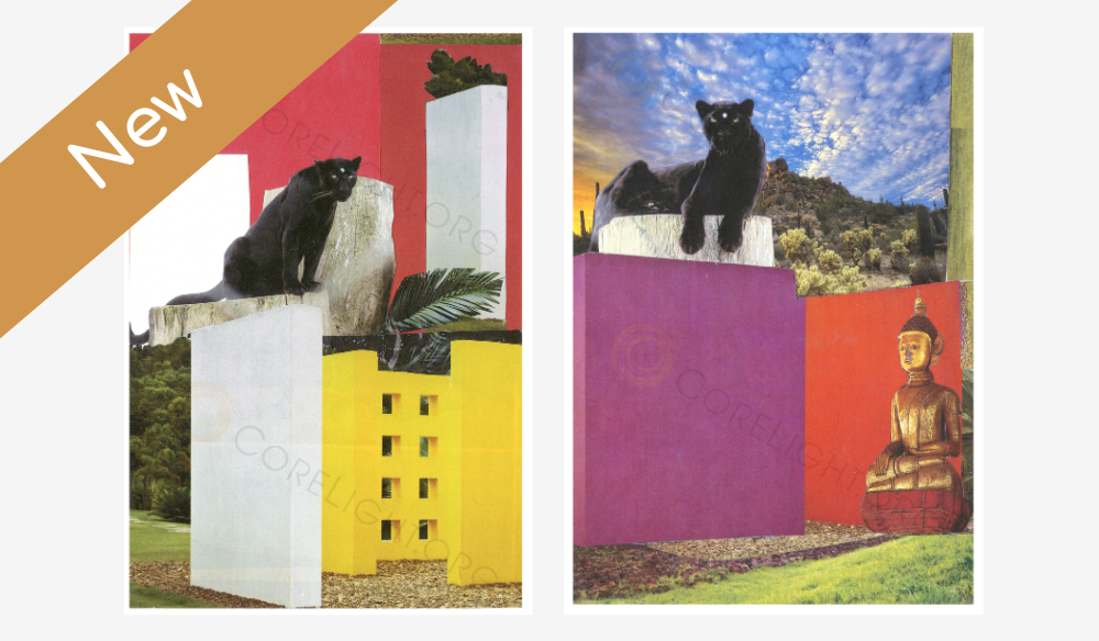 Spirit the Black Leopard Overlights the World