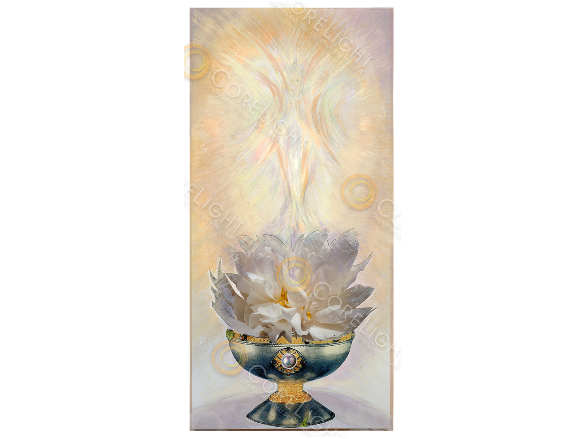 corelight-store-communion-with-higher-self.png