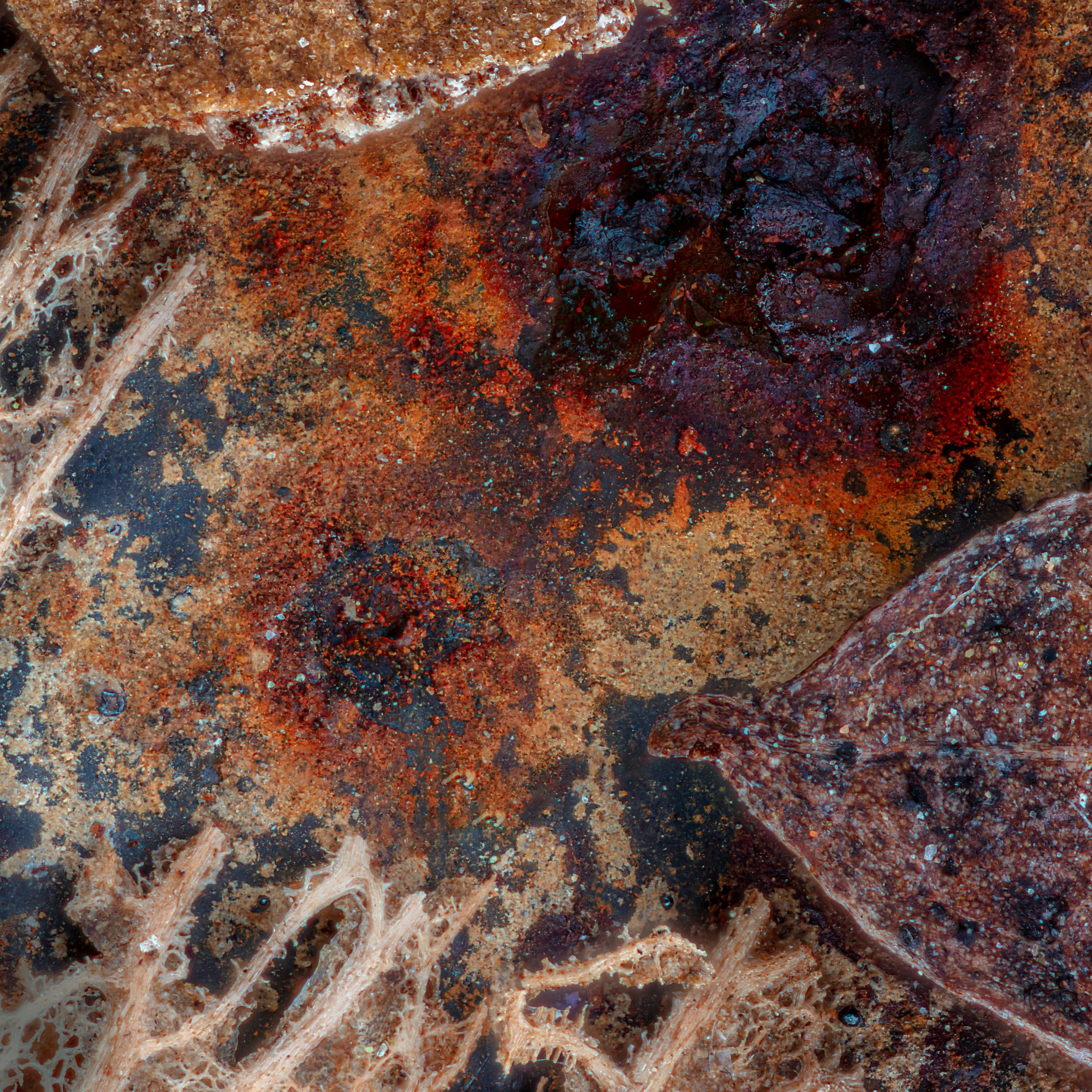 Macro photography by Ganzgar for the "Geigerzähler" release, showcasing multilayered processing. The image visually represents the themes of radiation and decay, symbolizing Hans Hashimoto's journey into nuclear wastelands.