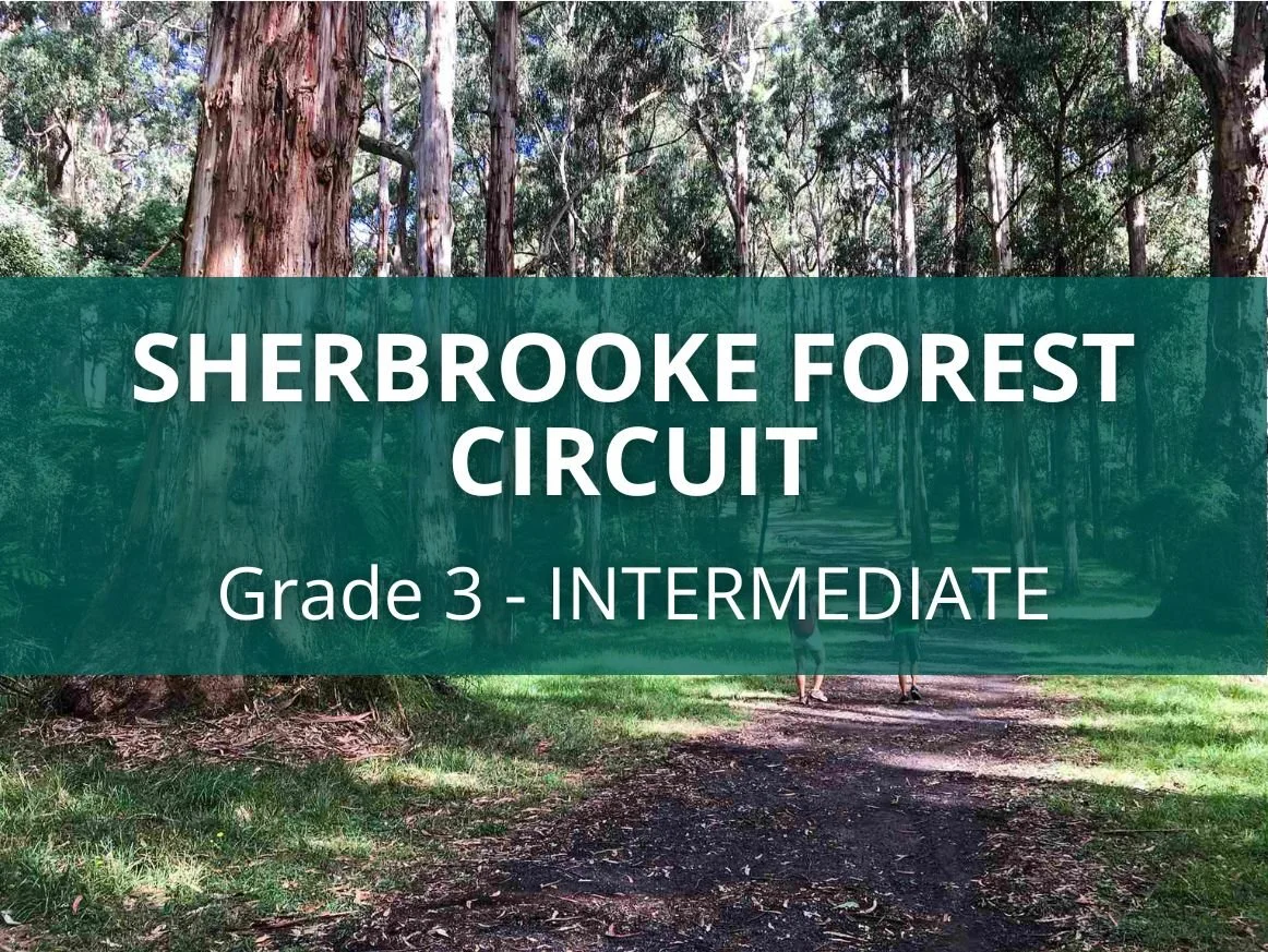 Sherbrooke Forest Circuit