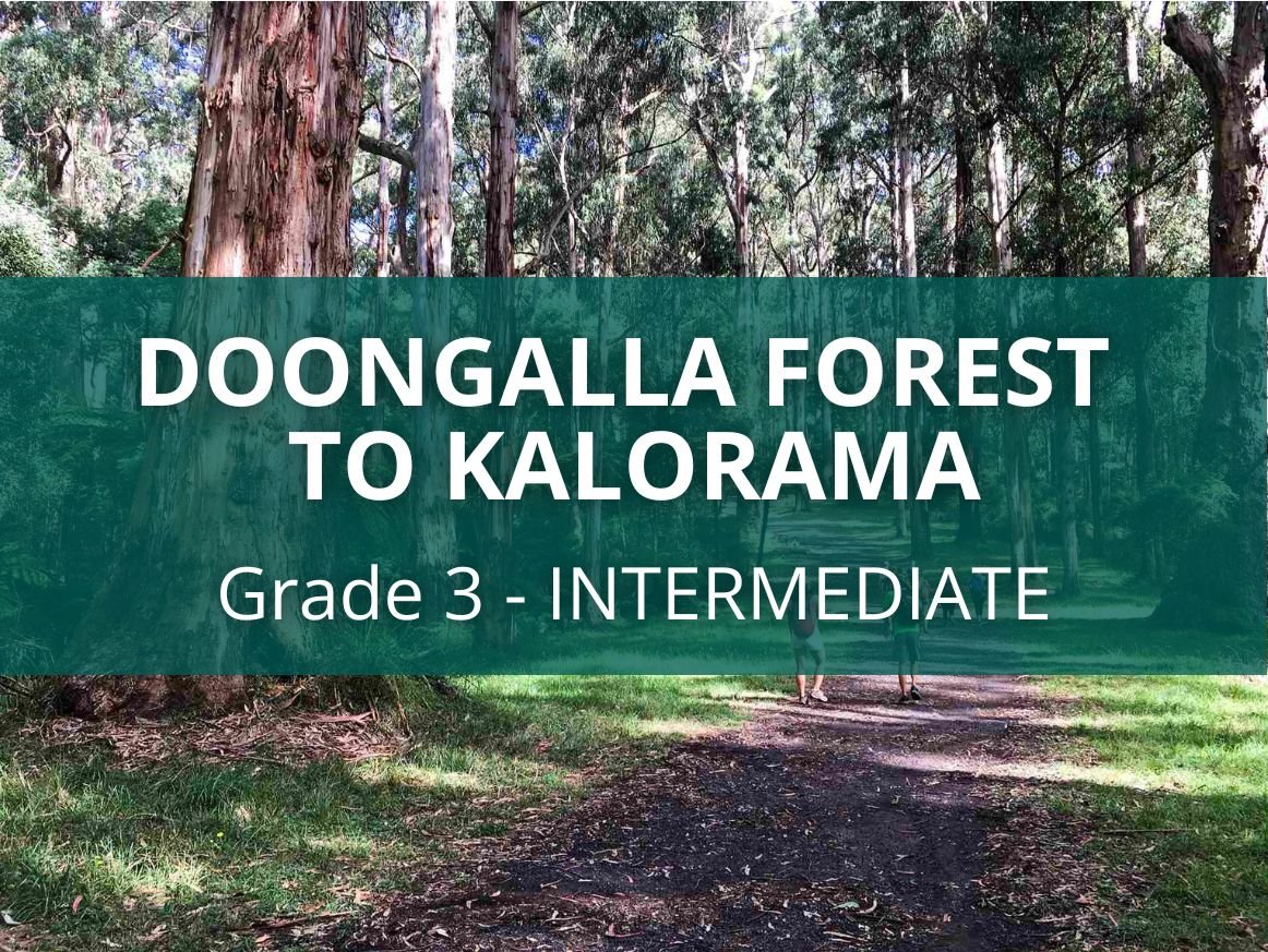Dandenong Doongalla Forest to Kalorama