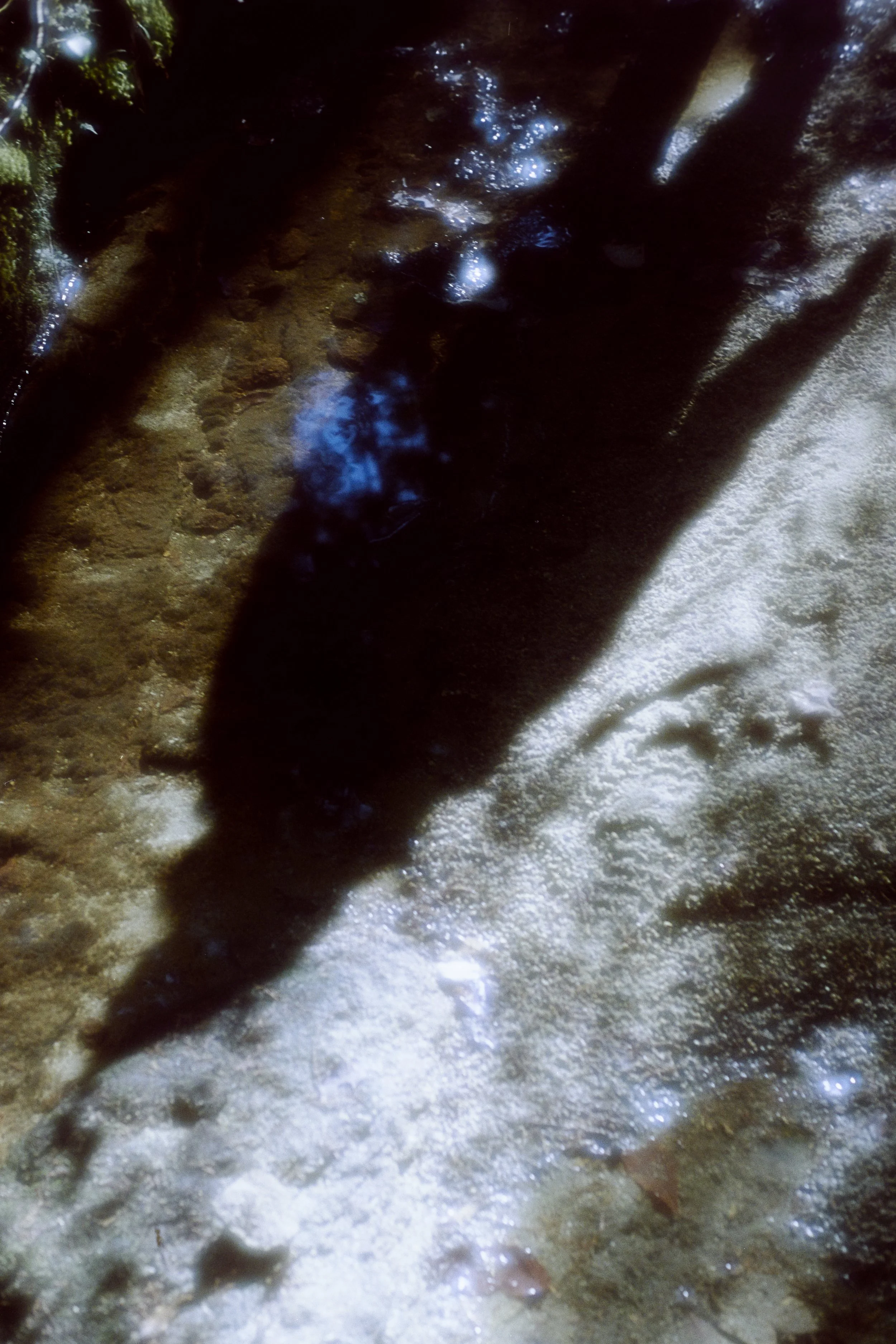 1_0500.jpg