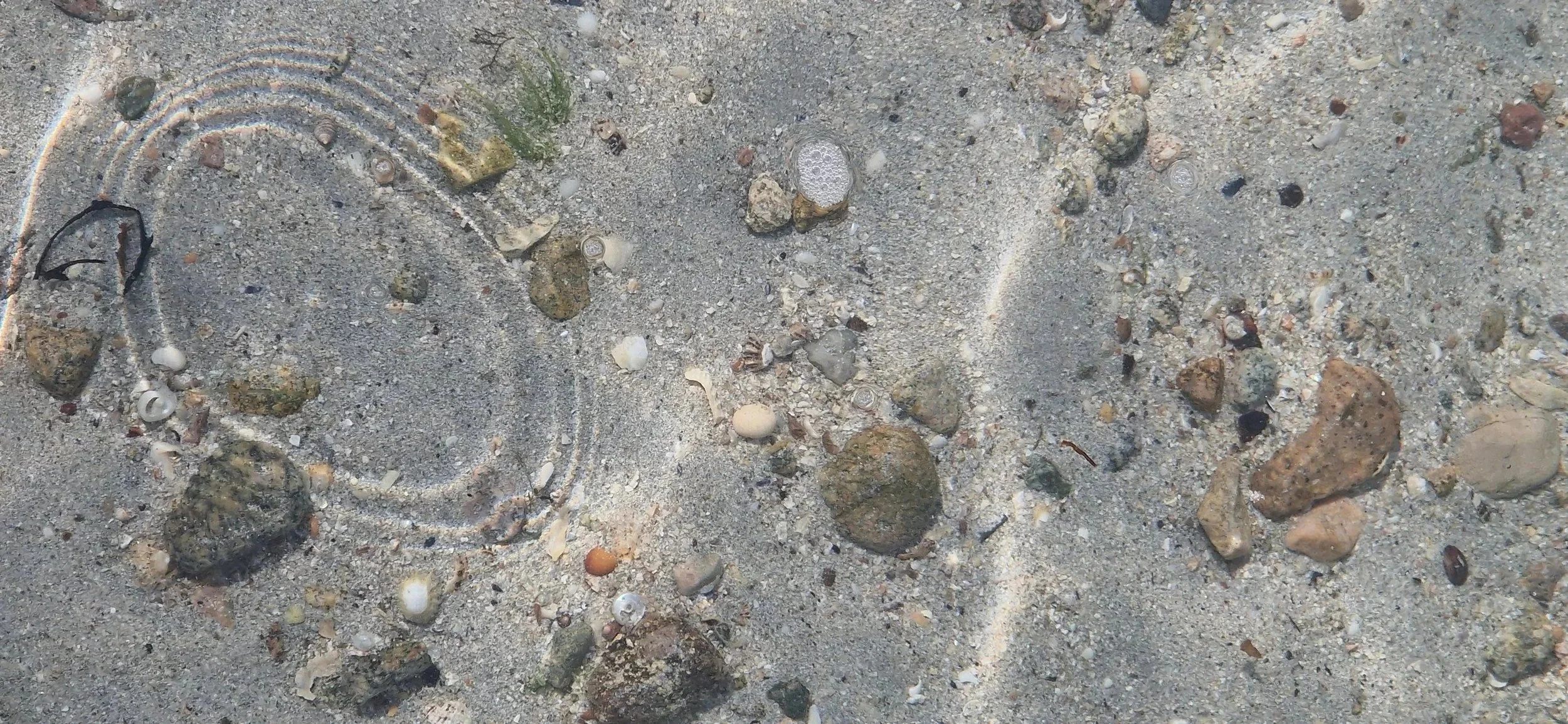 Close-up of sandy beach with small rocks, shells, and a circular manhole cover.