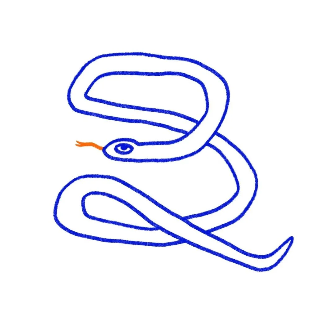 babybluesnake