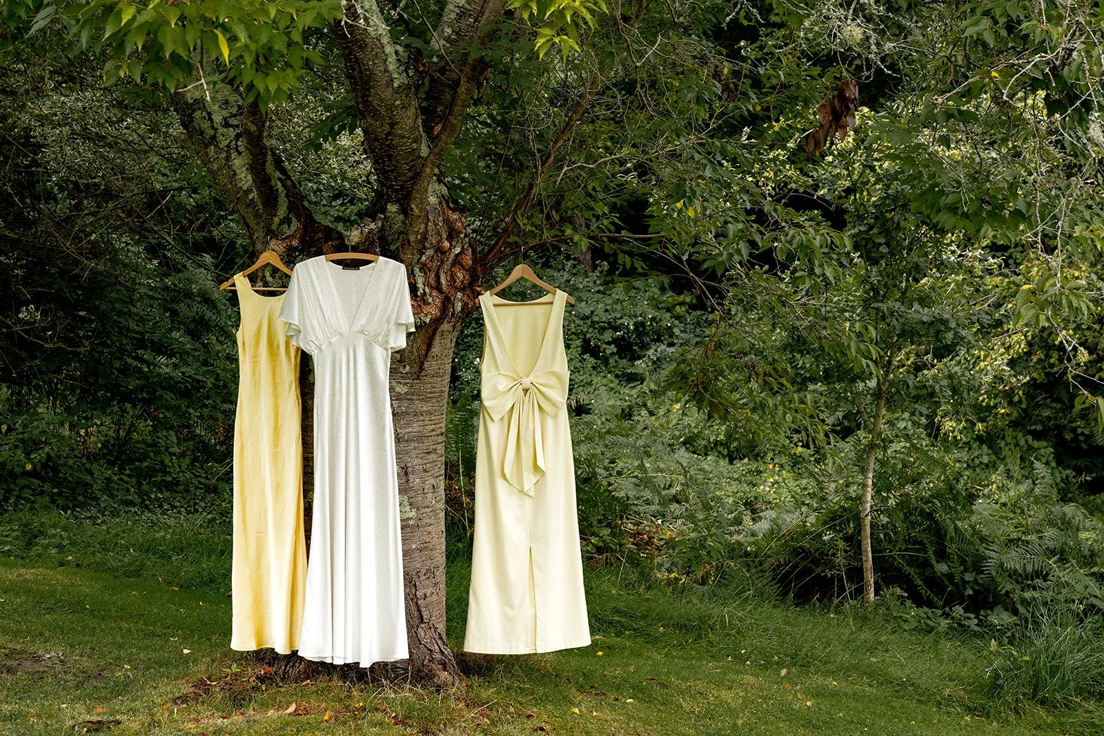 Three dresses hanging on hangers from a tree in a green outdoor setting.