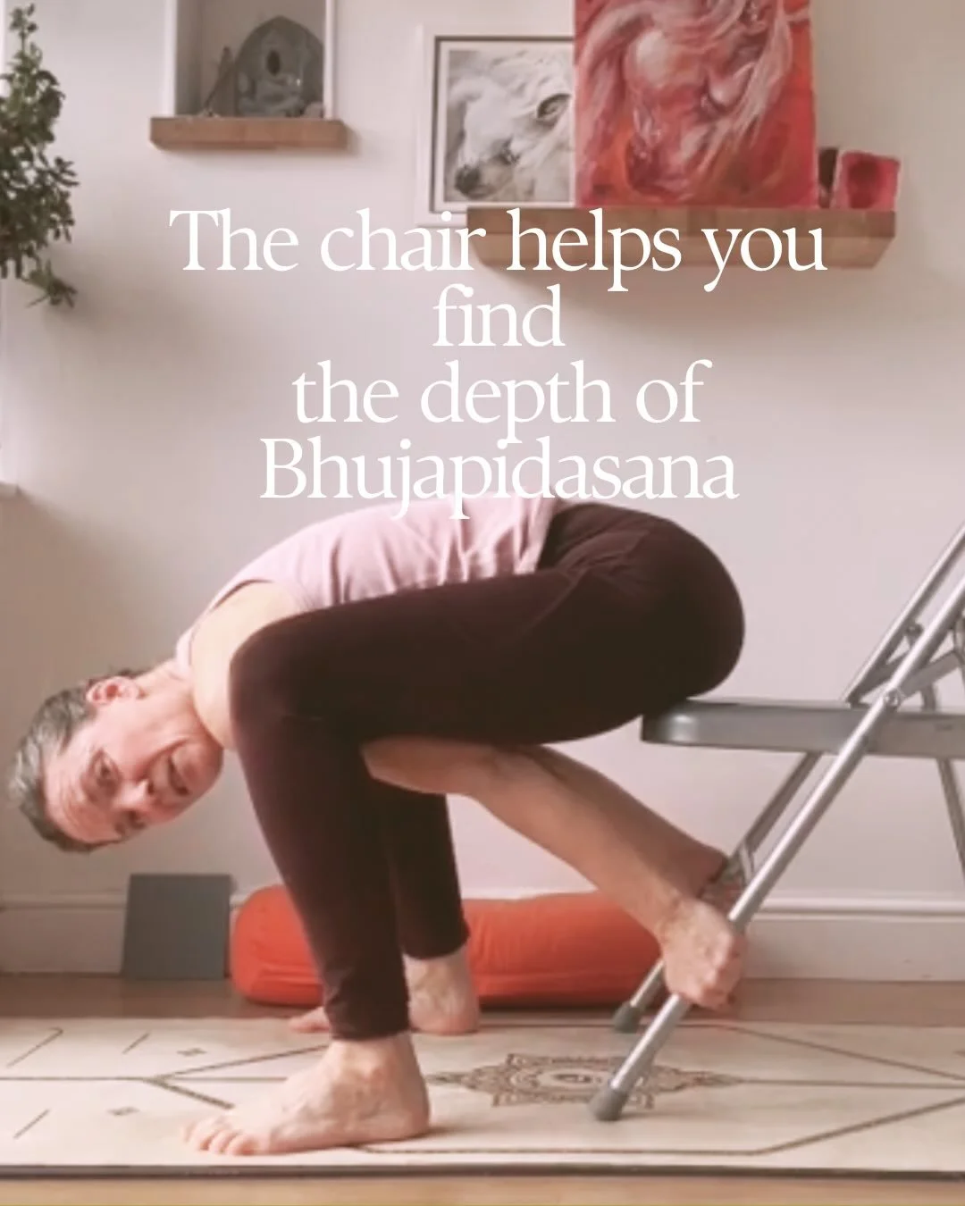 Chair Bhuji &rarr; Supported Tittibhasana.

Support doesn&rsquo;t always make a posture easier.
Sometimes it simply allows the body to organise itself.

Depth.
Structure.
Then extension.

Nothing modified about that. 😜 

#ahimsa 
#ashtangayoga
#bhuj