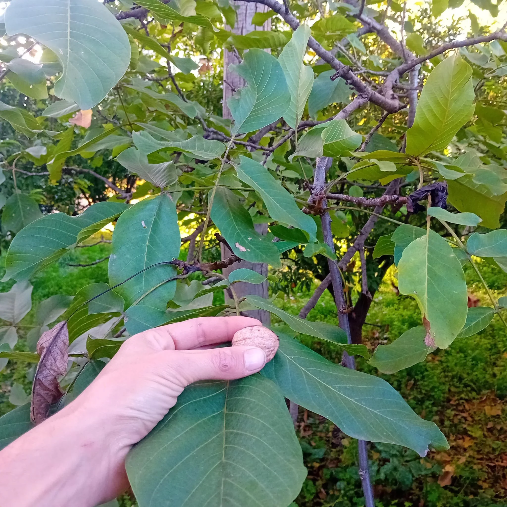 WhatsApp Image 2025-12-07 at 08.05.46.jpeg