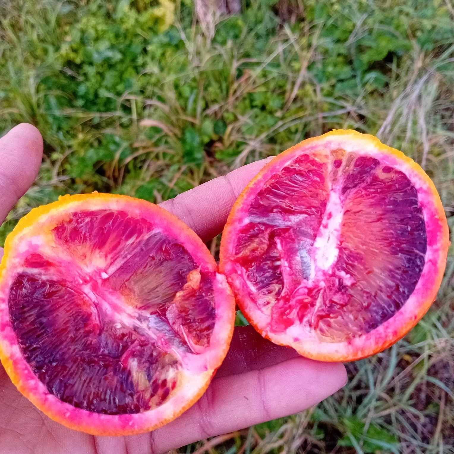 WhatsApp Image 2026-02-01 at 18.20.54.jpeg