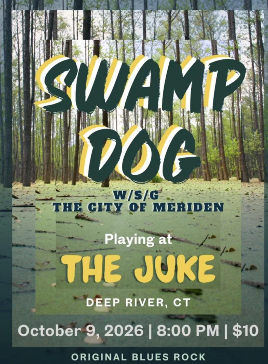 Swamp Dog