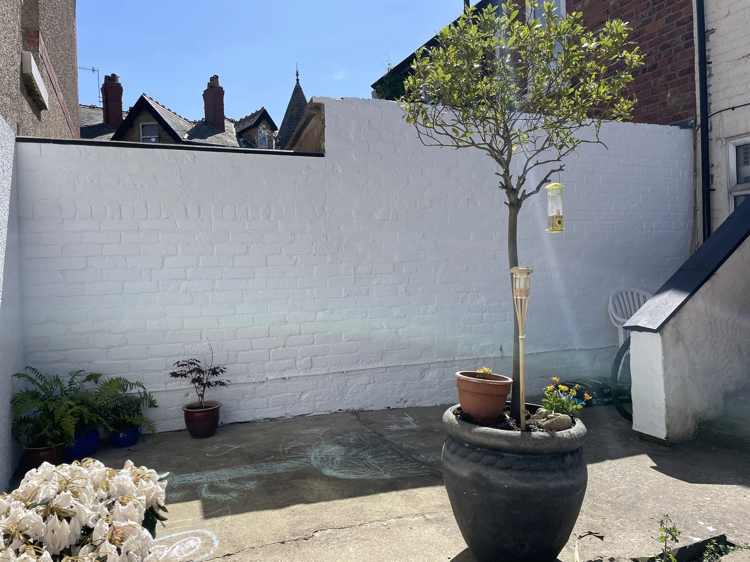 A small outdoor patio with a white brick wall, potted plants, a small tree in a large black pot, and chalk drawings on the ground under a blue sky.