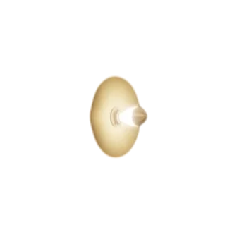 LED Wall Light Master JY800