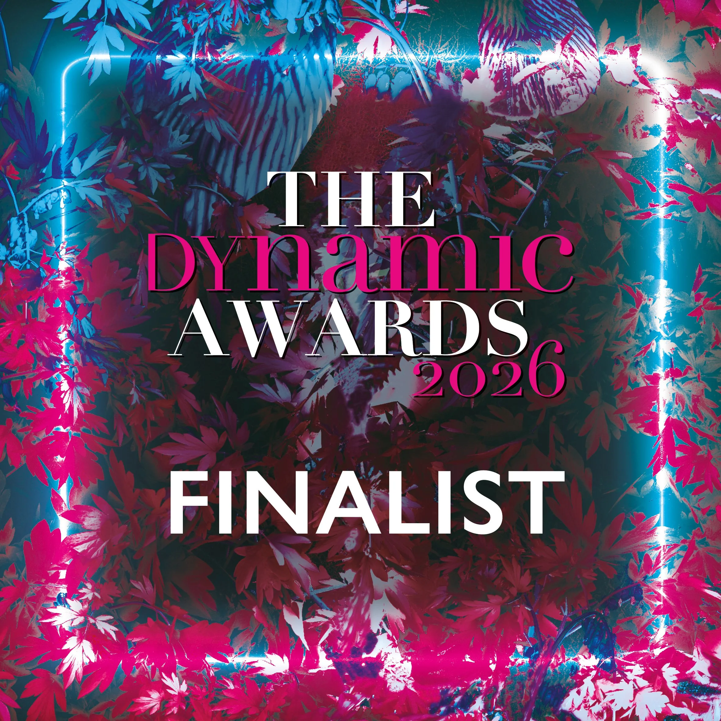 Award Finalist Dynamic Award South East Marketing Agency