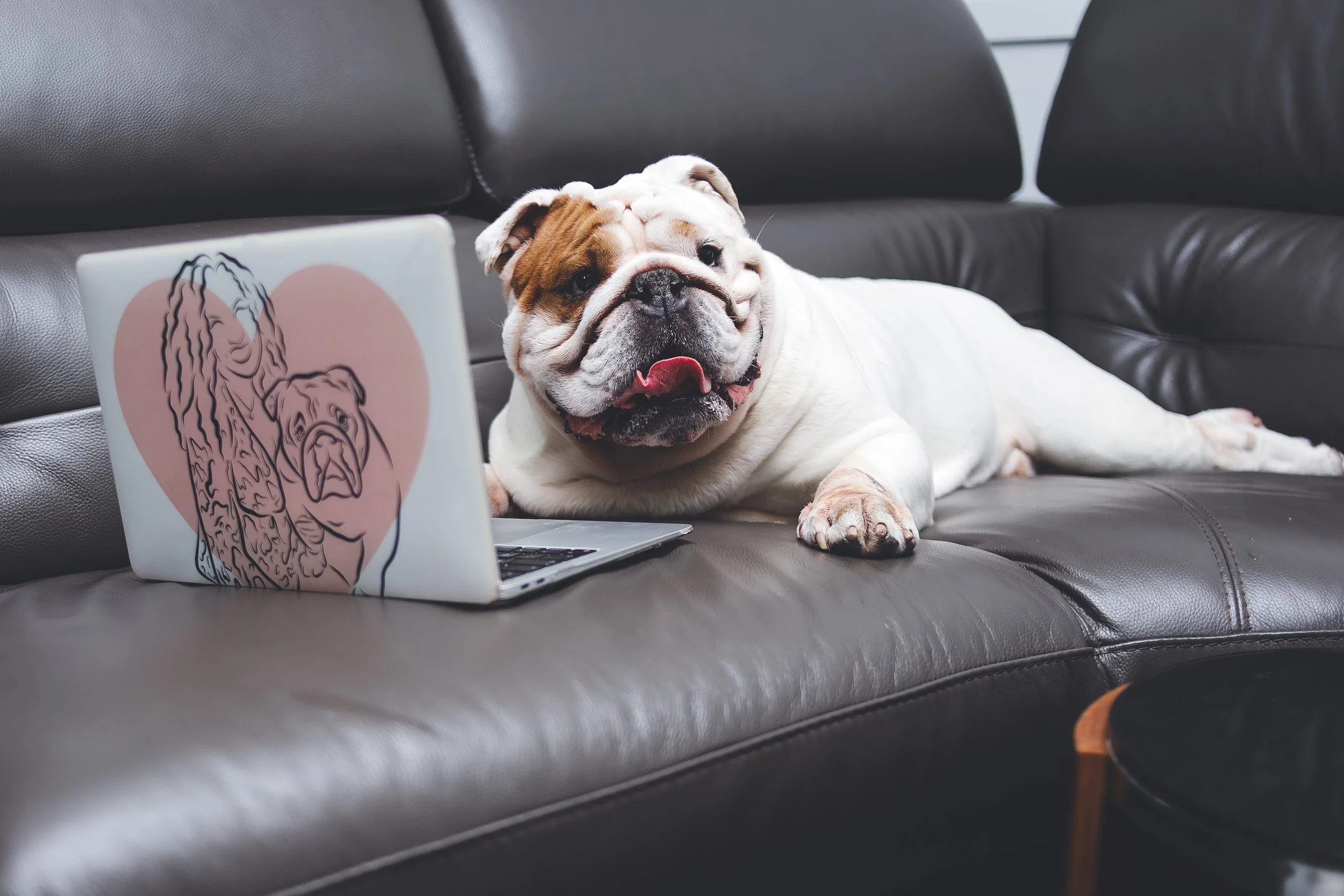 Marketing Consultant Sussex