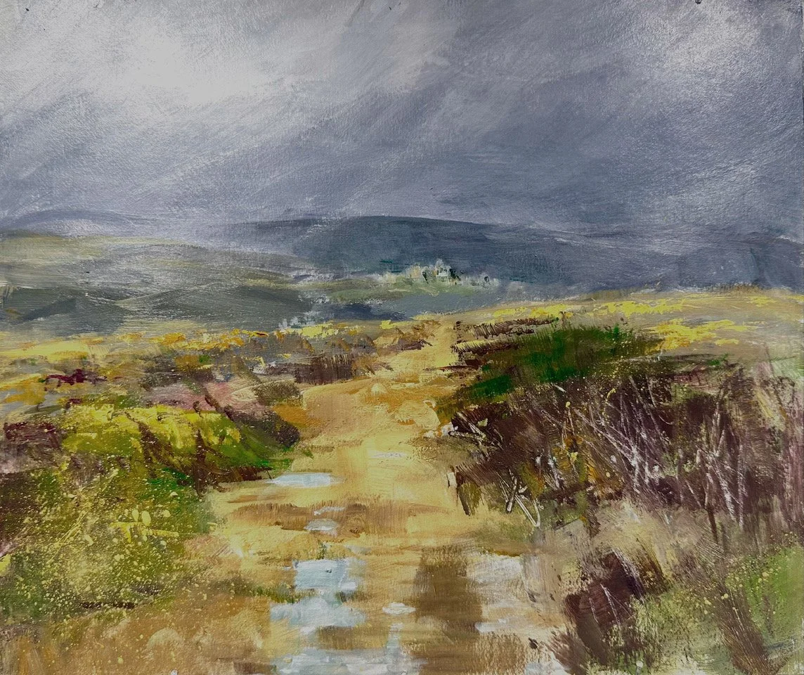 After rain, early morning Heytor Down..jpeg