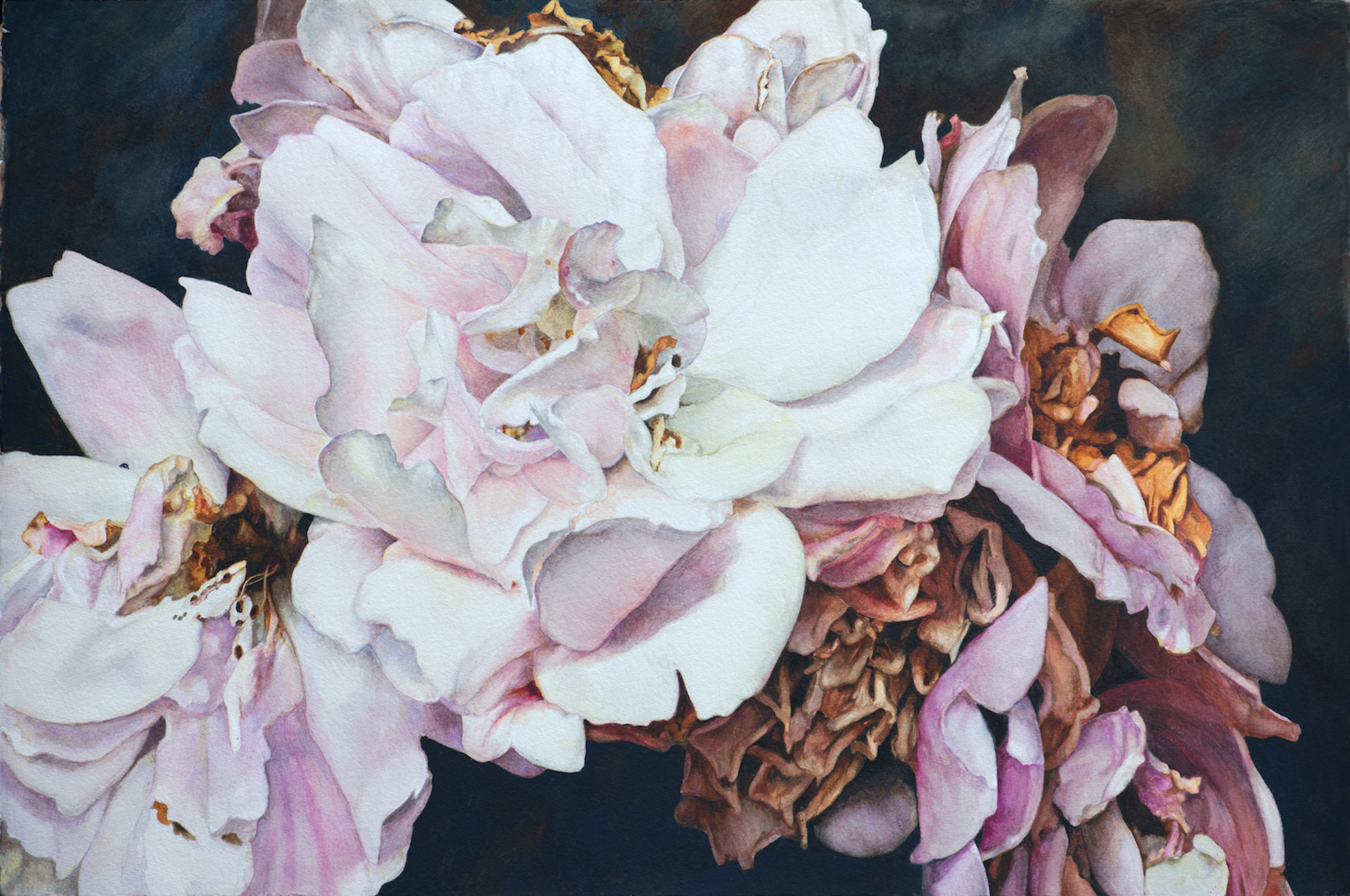 "Summer Passes Like A Dream"