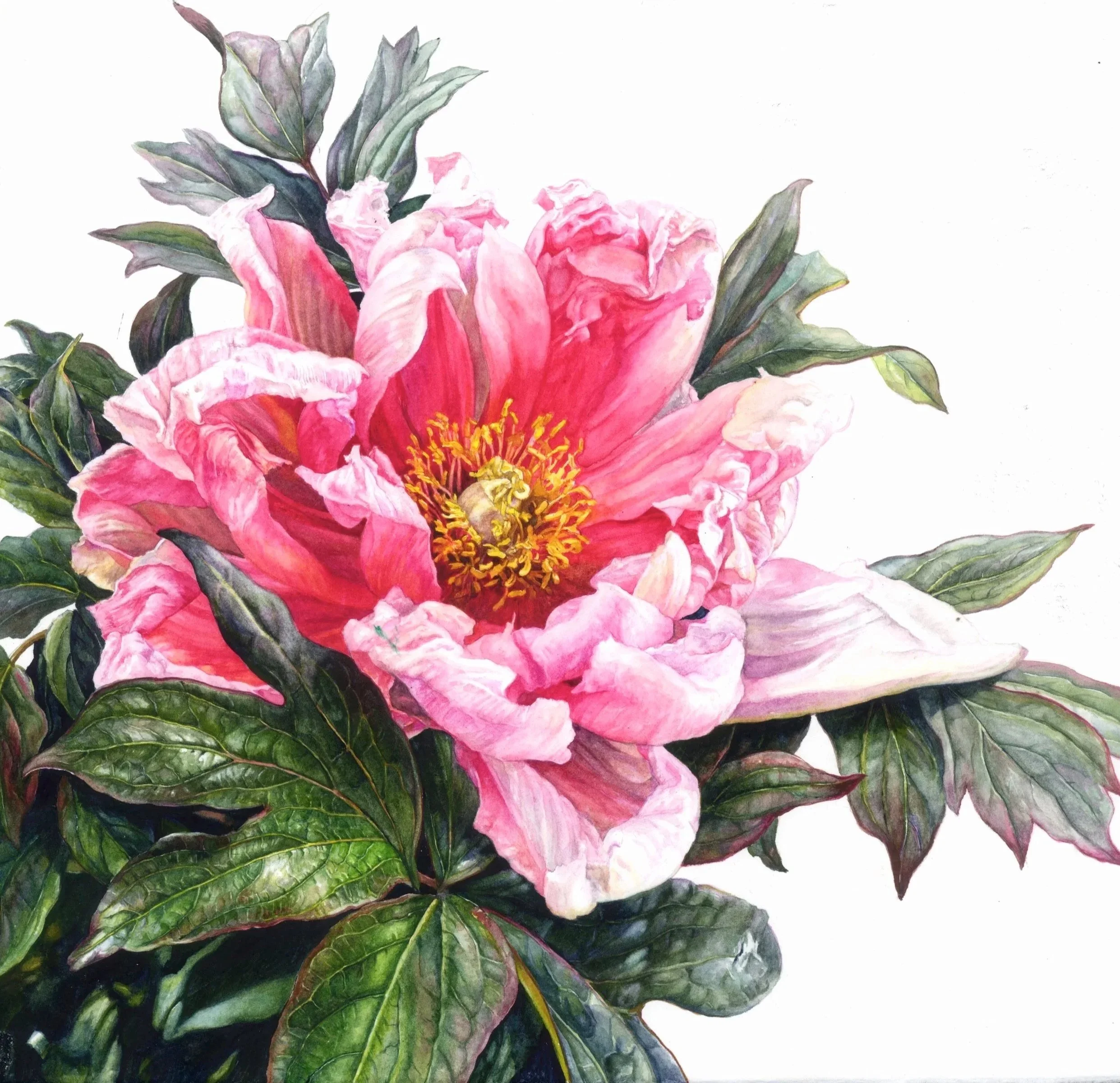 "Raise Me With Sunrise"