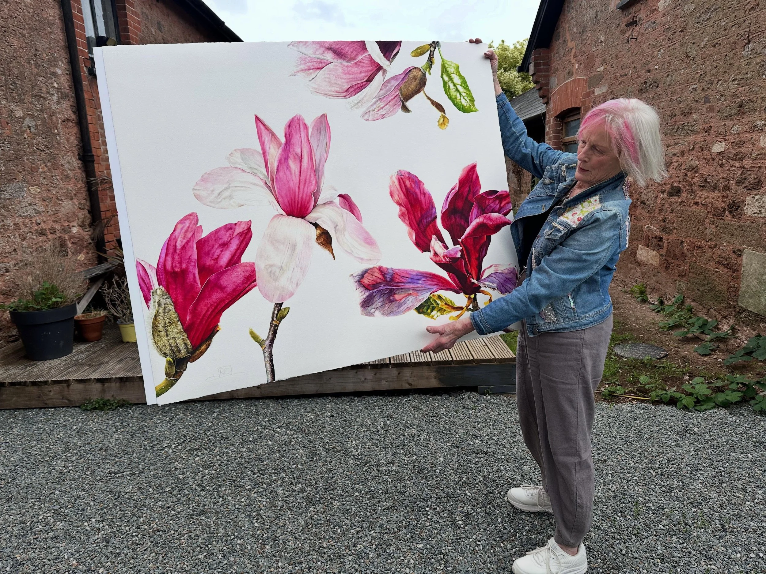 The final large piece being taken to the framer @danielwinterframes for my forthcoming show @jonathancoopergallery in chelsea which opens 24th June. This show concentrates on the wonders of Magnolias.
.
#botanical #botanicalart #botanicalpainting #mo