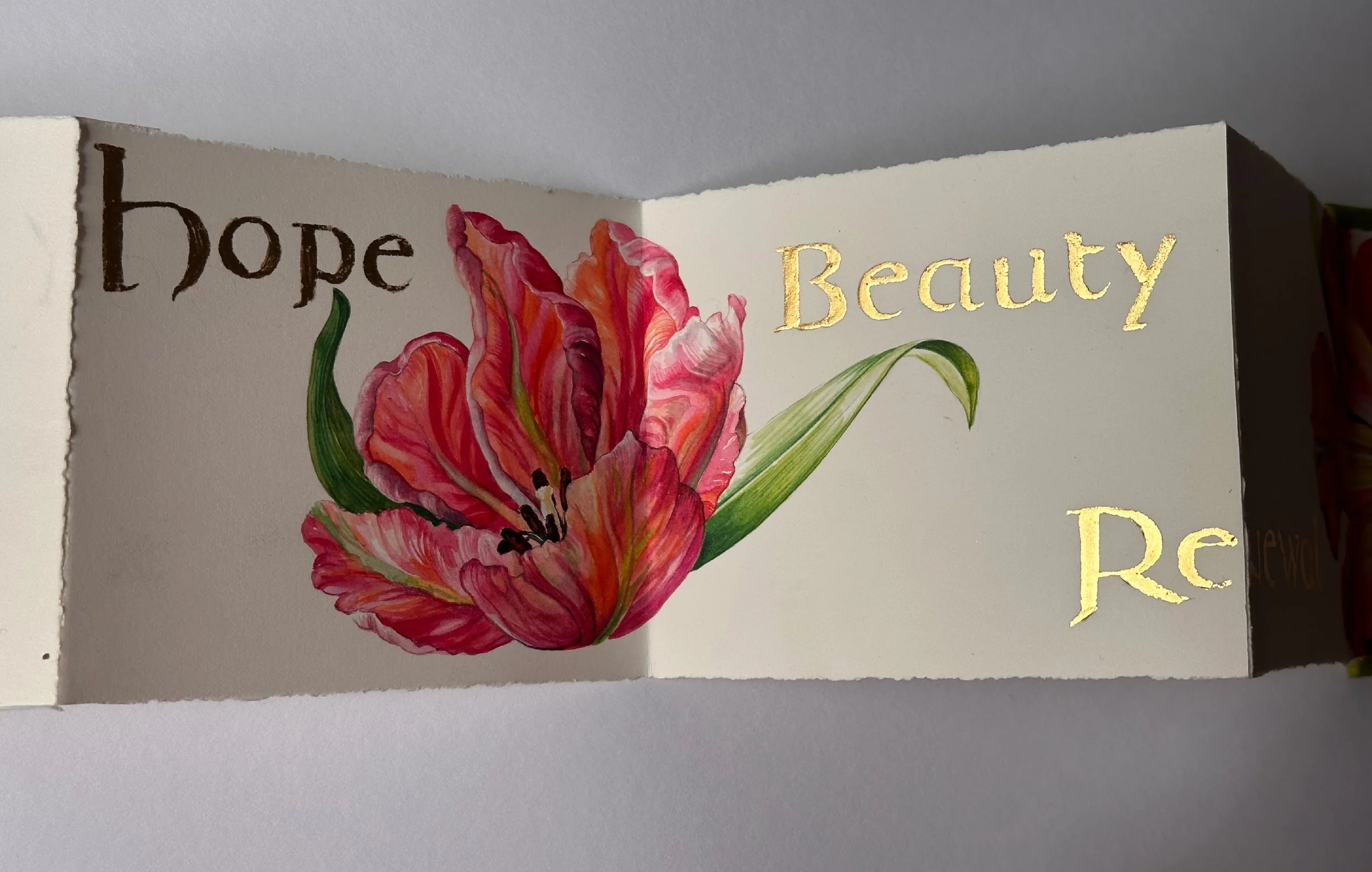 tulip book 2.jpg