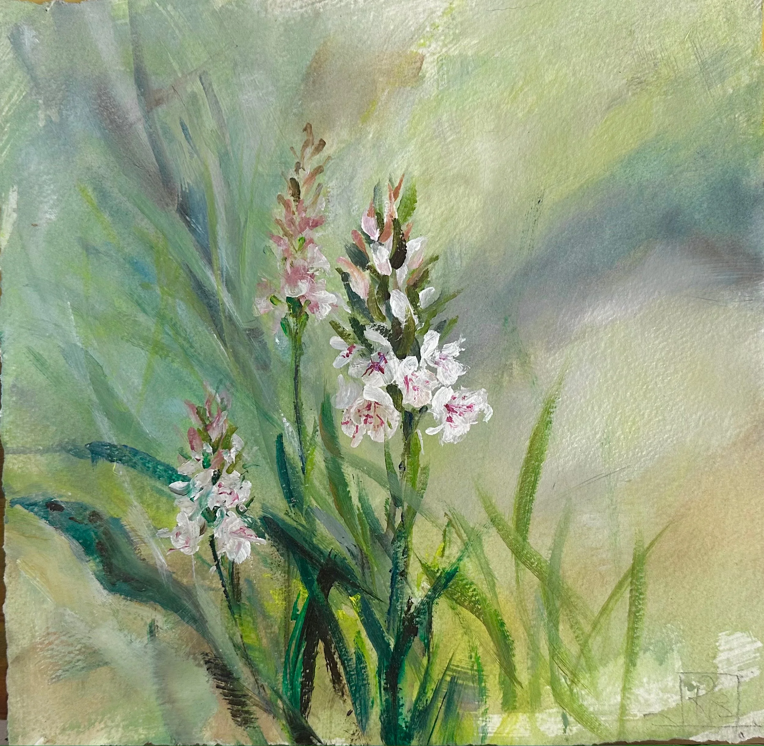 Wild Orchids