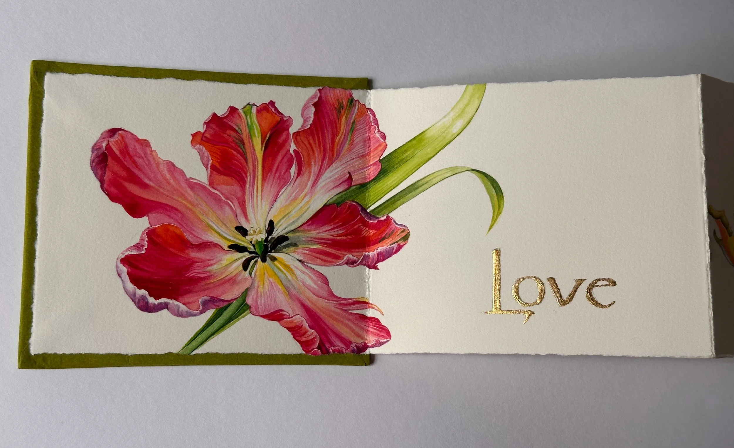 The Symbolism of Tulips - Concertina Book