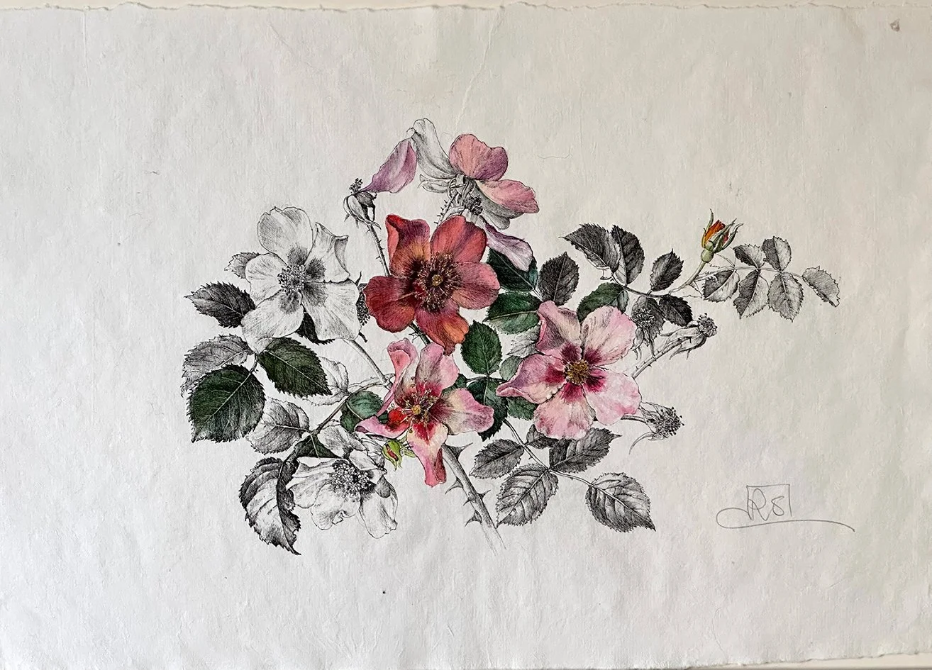 For Your Eyes Only. Drawing.jpg