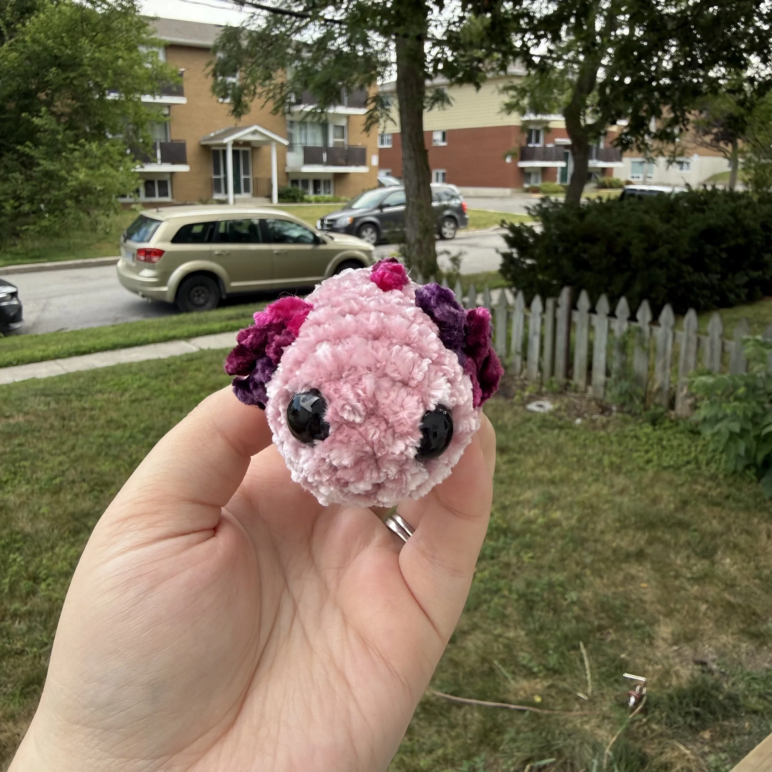 Axolotl $10 Pattern by CrochetGrove
