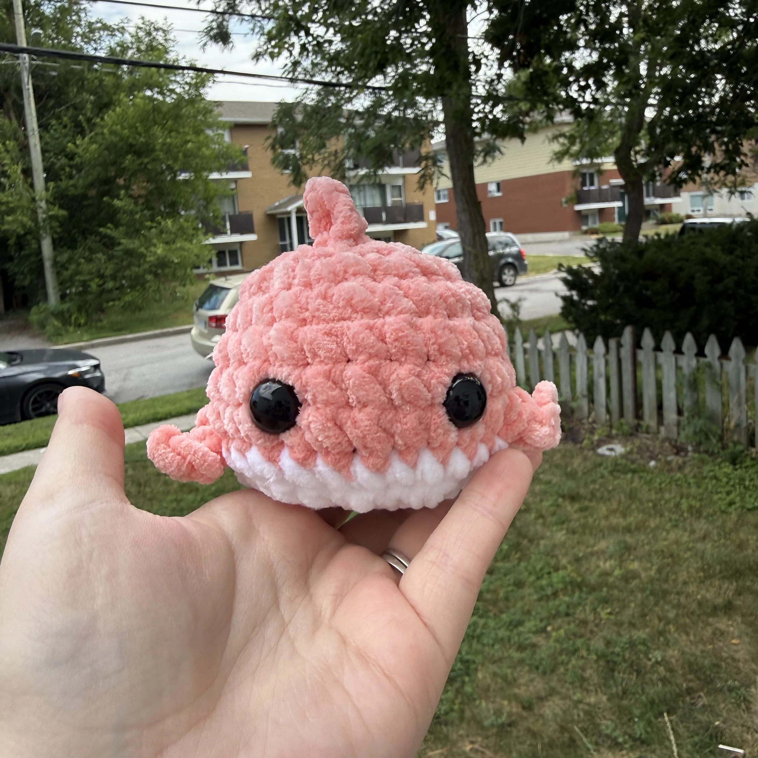 Shark $10 Pattern by Mercer Made