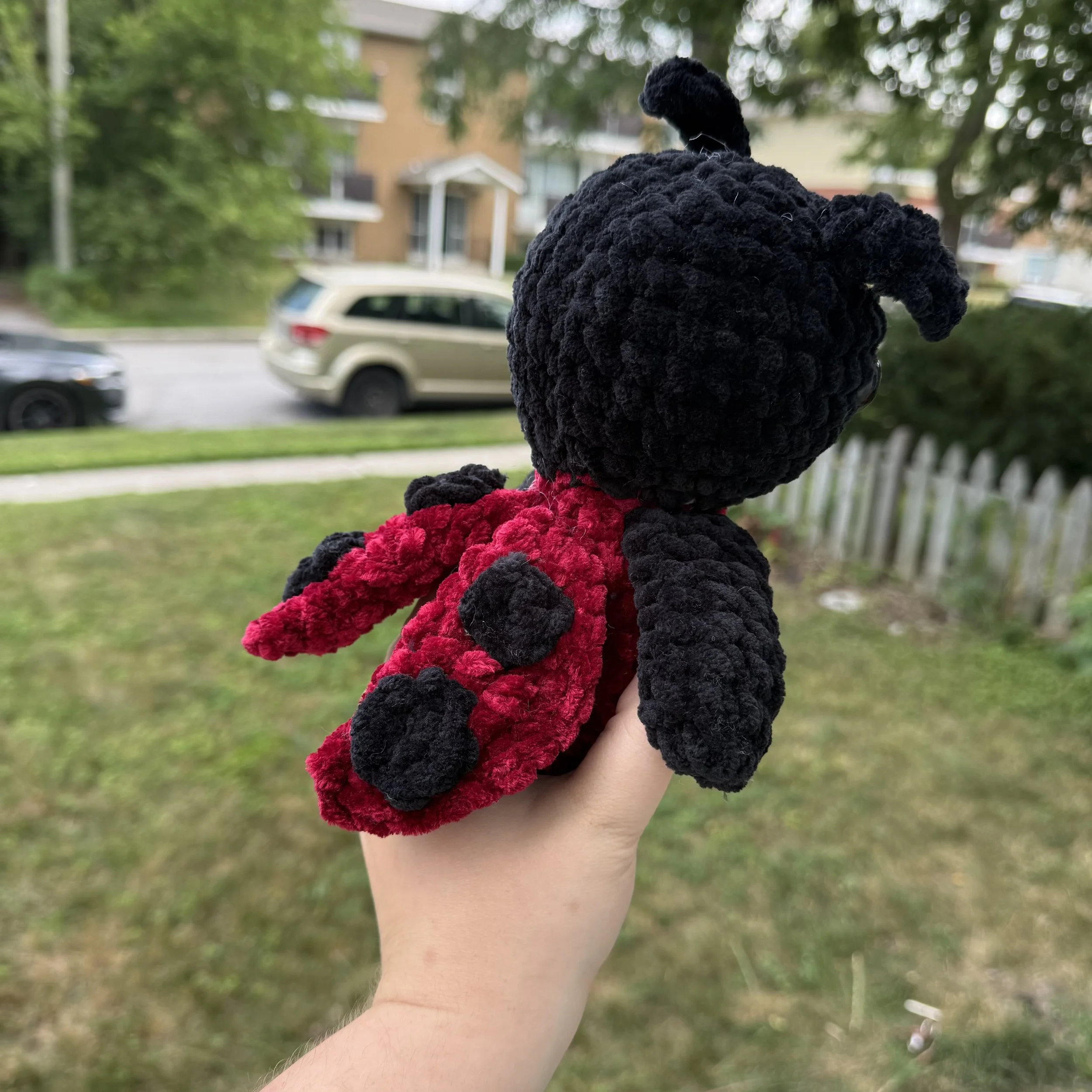Back of Ladybug