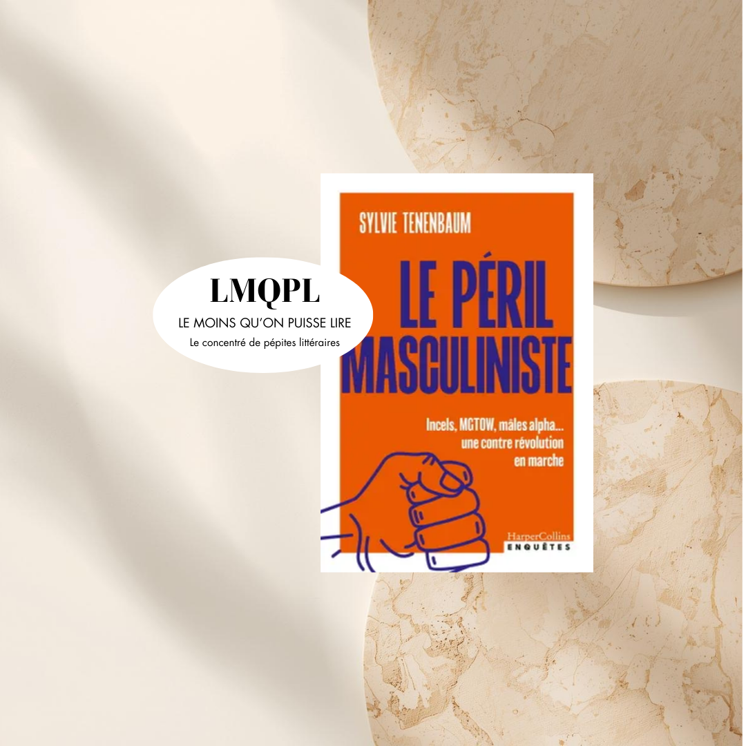 “Le péril masculiniste”, plongée au cœur du continent de l’ultra- violence