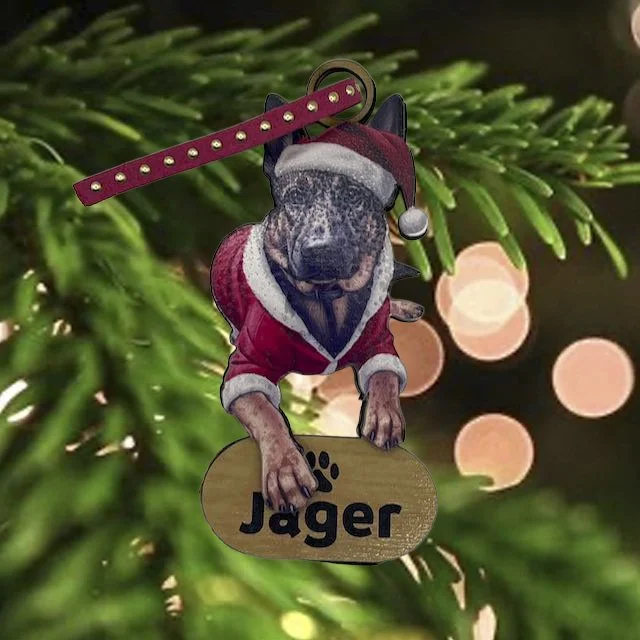 Jager.jpg