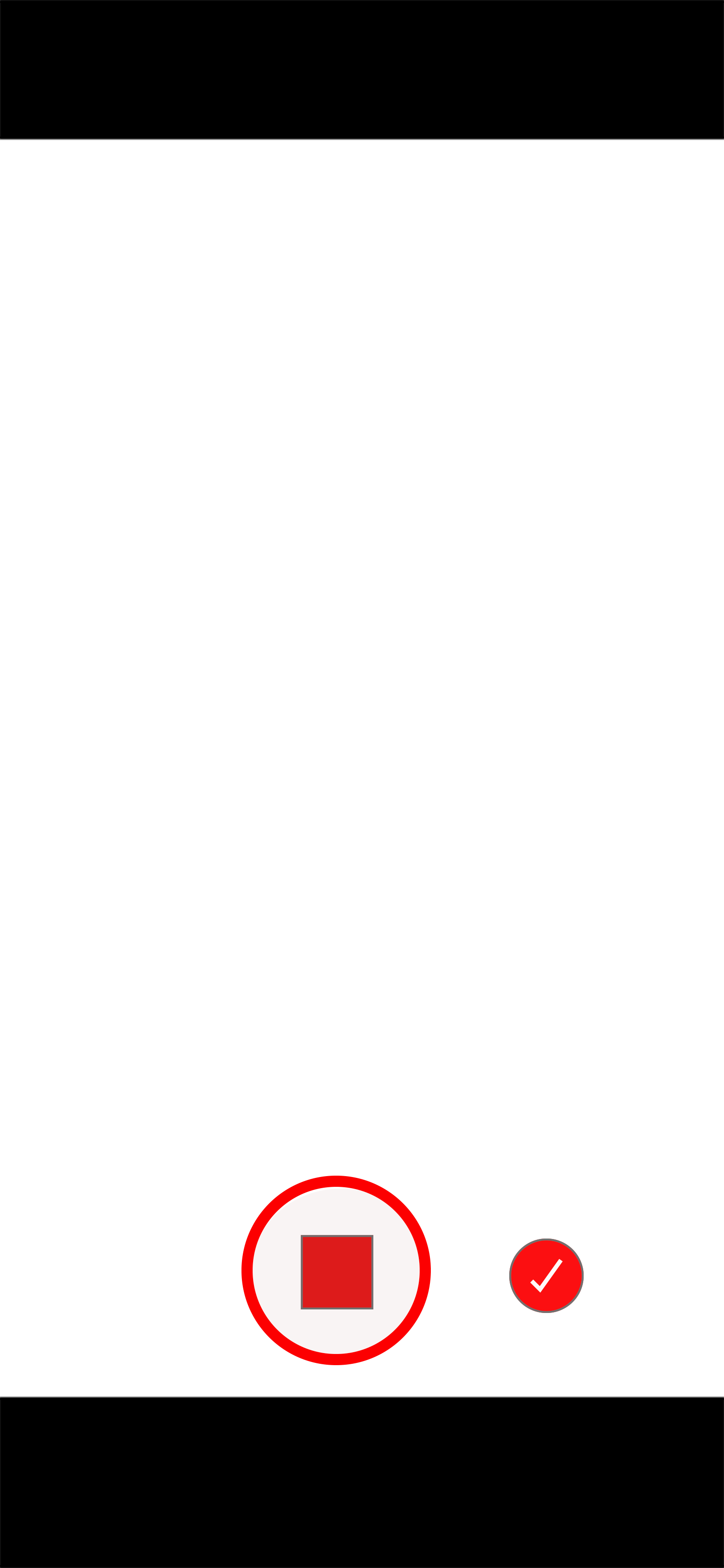 TIKTOK RECORDING INTERFACE.png