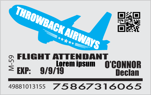 Throwback Airways_ID-01.png