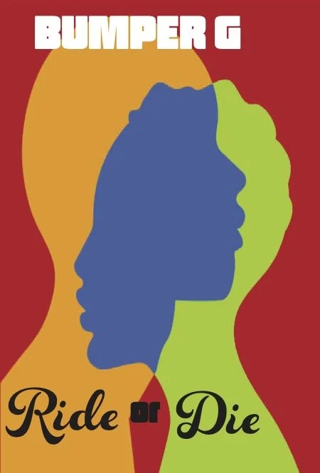 COSTCO BOOK COVER ALT FONTS copy.jpg