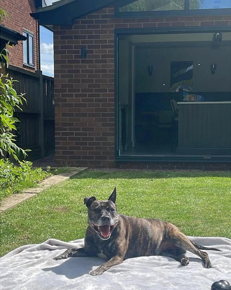 Hope everyone has had a fantastic bank holiday in the sunshine ☀️ 

A pretty chilled one in the Foden household! We&rsquo;ve been relaxing in the sun and had a couple of BBQs 🍔 

Back to it tomorrow with a busy week ahead 📅