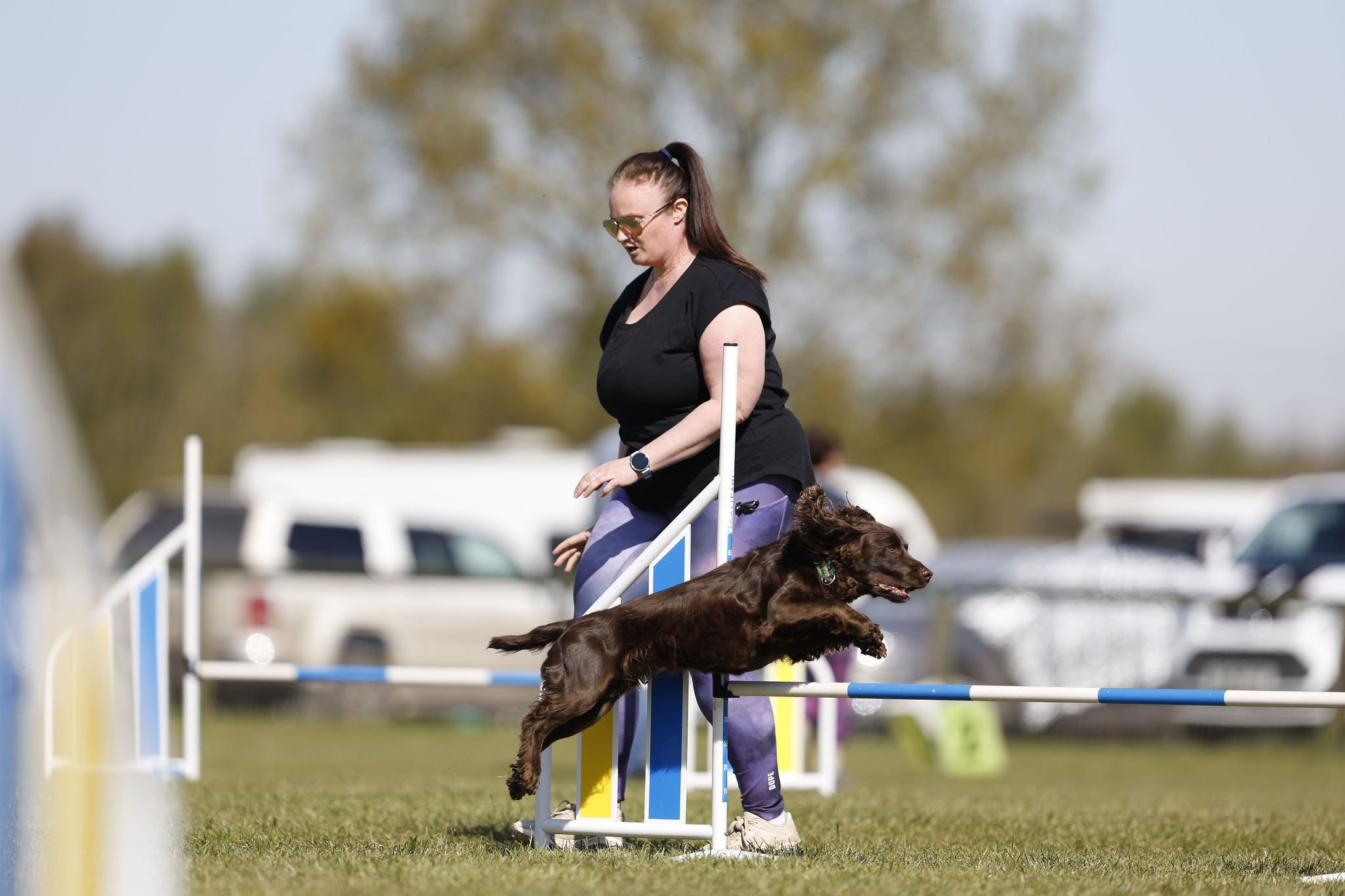 Beginner dog agility lesson in Leeds