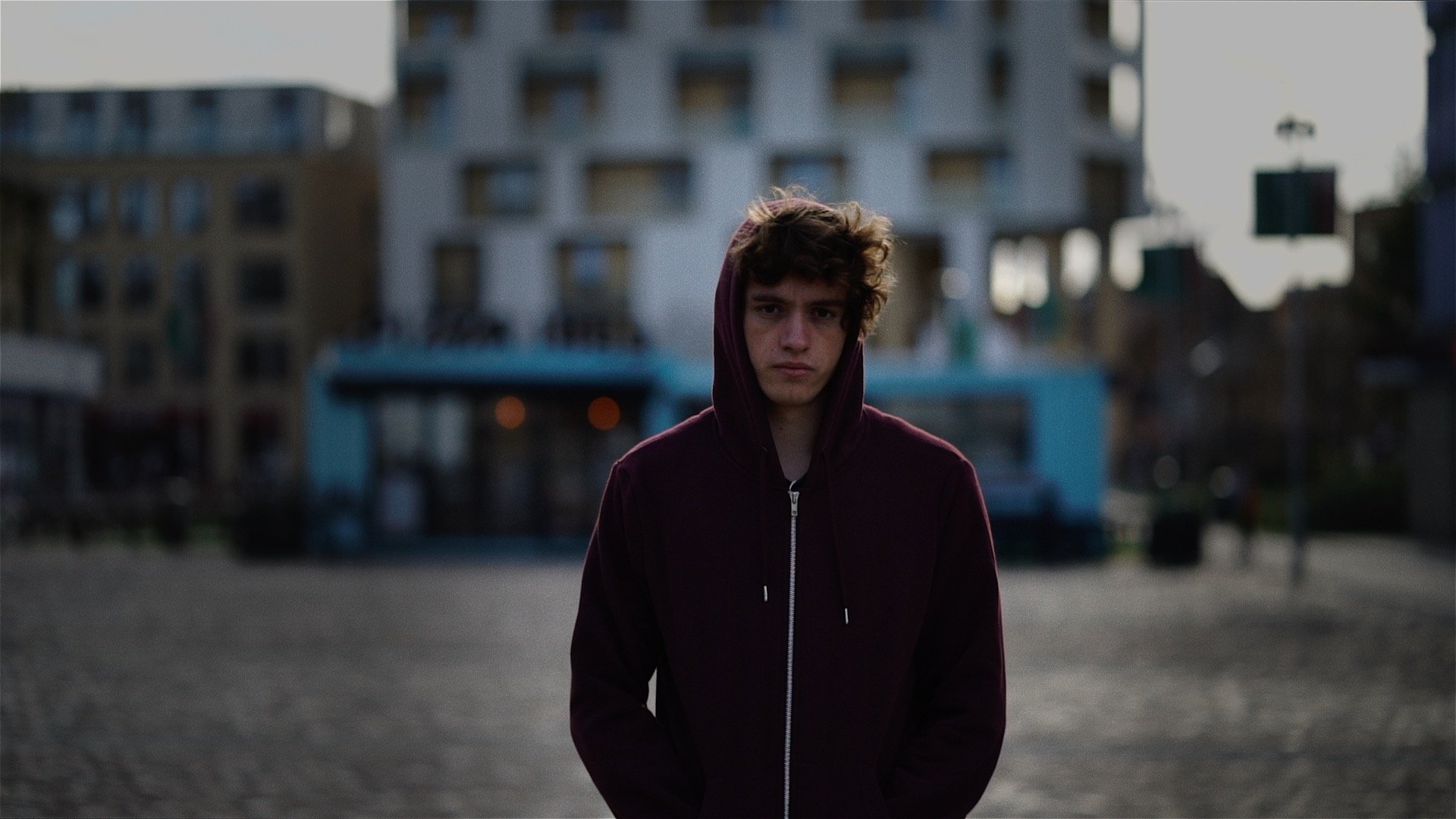 01-Harry Backlit in Square.jpg