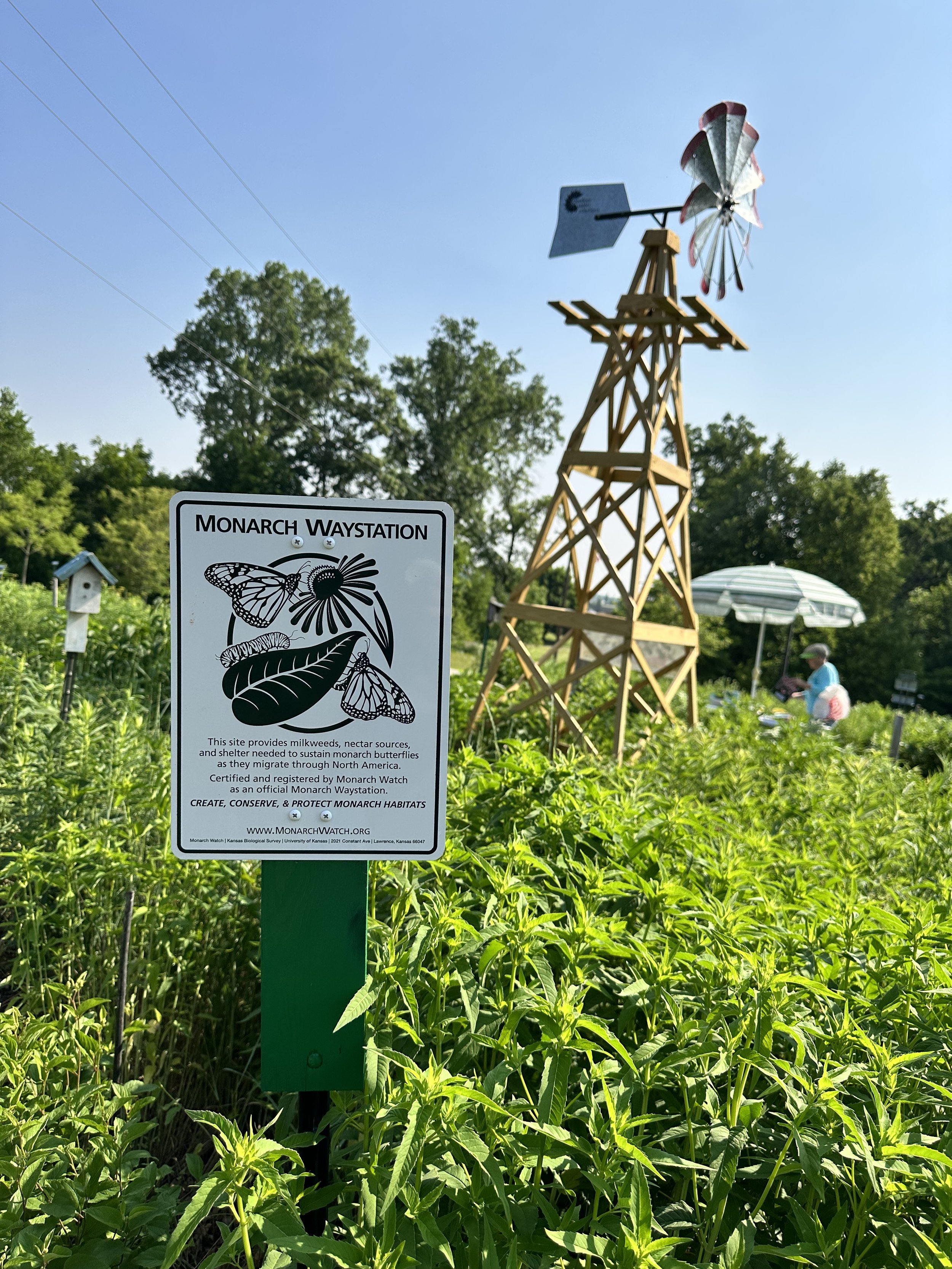 2023-06-10 10.14.47.jpg