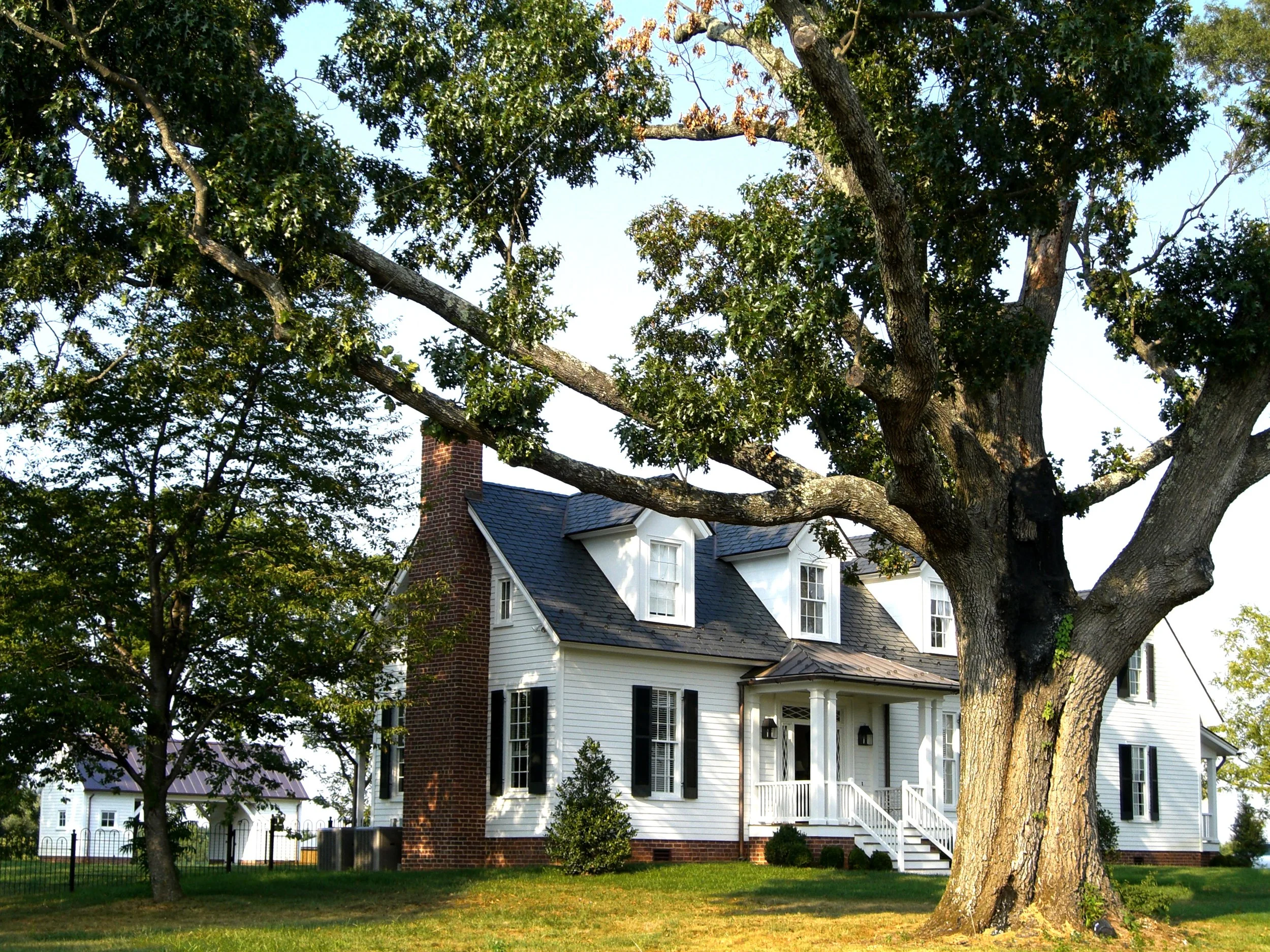 Front from Left Angle.jpg