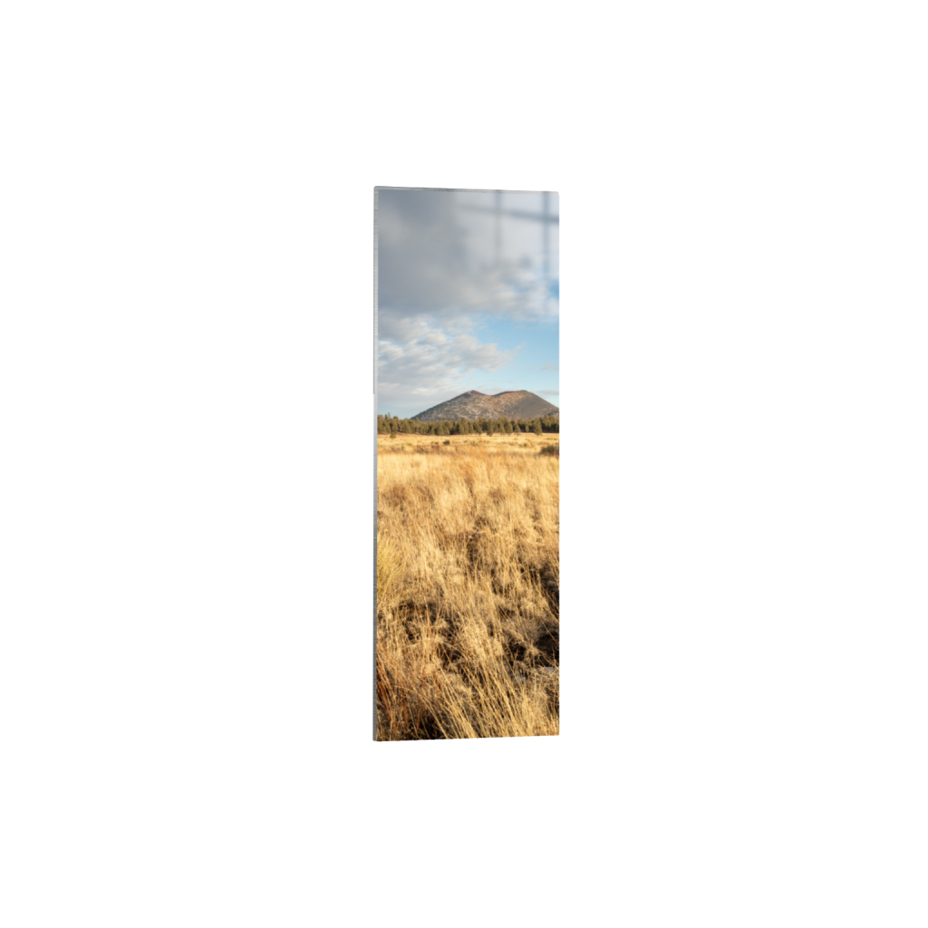 ptq_13_2_630_0_2336_7008_0_false_ffffff_0_0_.png
