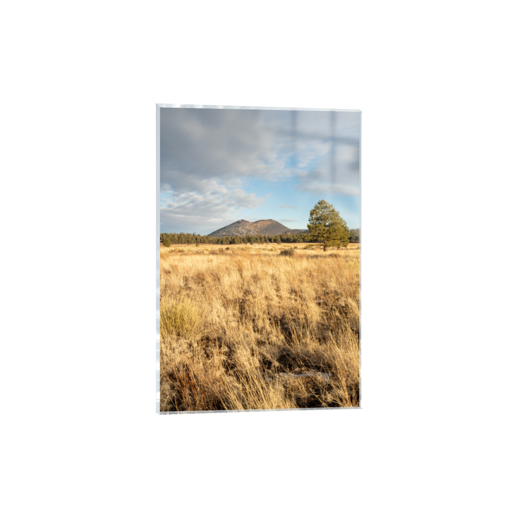ptq_17_3_0_0_4672_7008_0_false_ffffff_0_0_.png