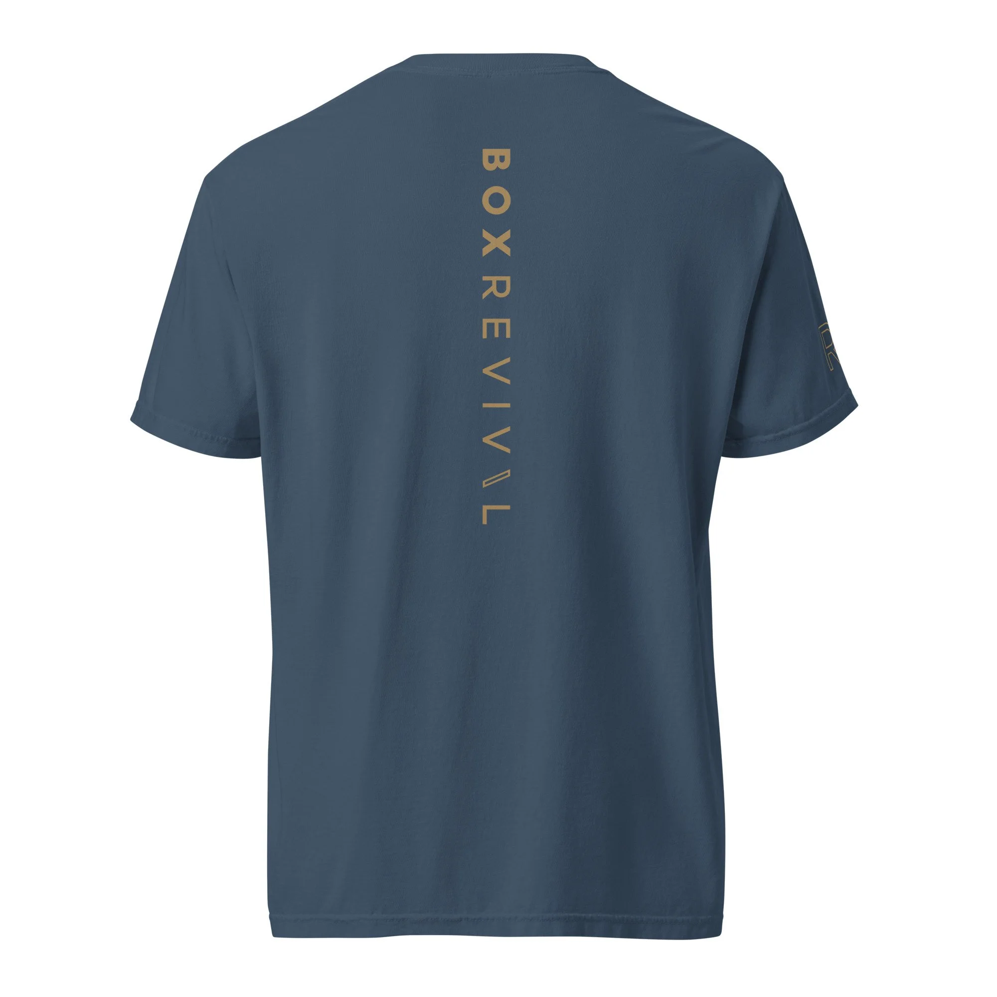 unisex-garment-dyed-heavyweight-t-shirt-midnight-back-688e724b673cd.jpg