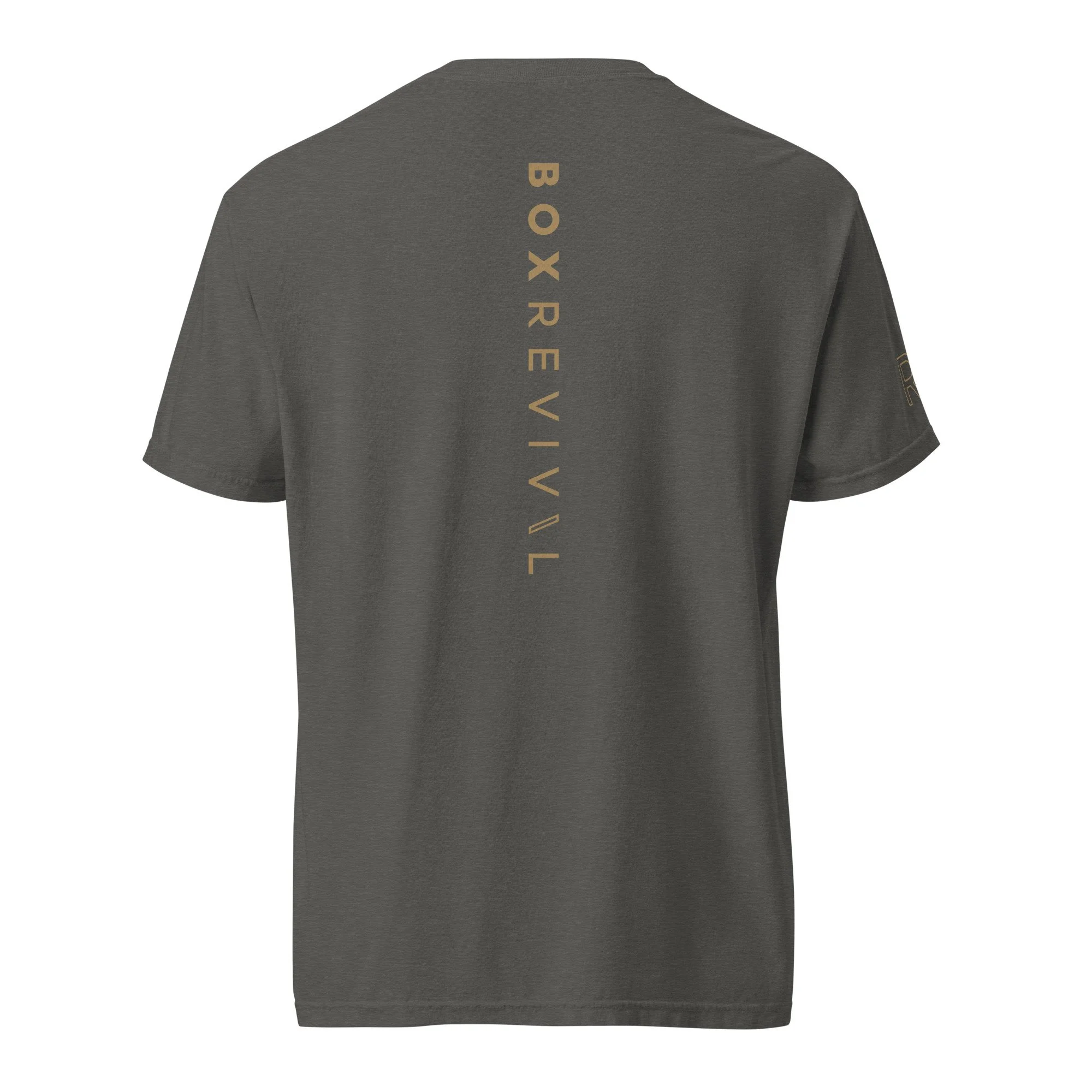 unisex-garment-dyed-heavyweight-t-shirt-pepper-back-688e724b6e0fa.jpg