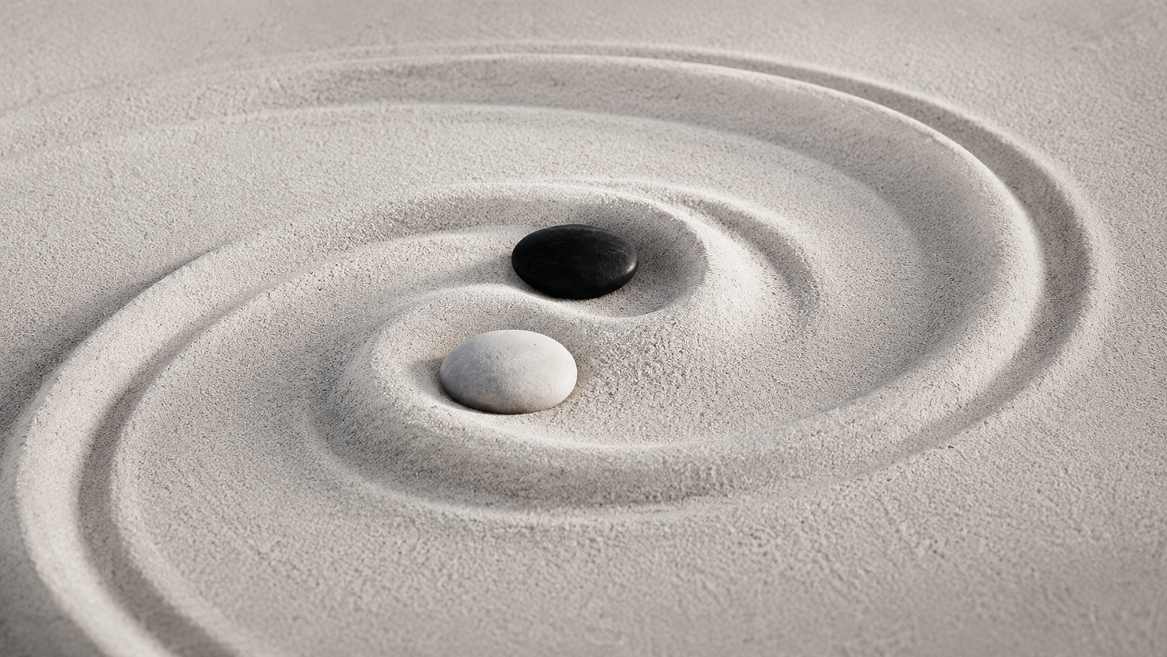 The Yin and the Yang: The Ring and The Well